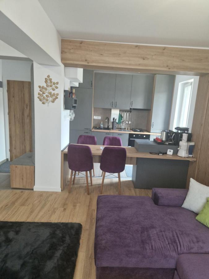 Appartement Casa Mov à Braşov Extérieur photo